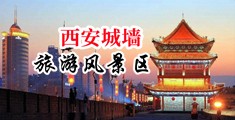扒开校花粉嫩小穴图中国陕西-西安城墙旅游风景区